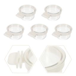 Alimentador de pássaro acrílico transparente premium, Pendurado Parrot Bowl, Conjunto de alimentação multifuncional, 5 pcs - Image 6