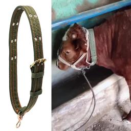 1 pçs colar de cabra de gado cinto de lona burro cavalo vaca ovelhas ferramentas de treinamento forte durável colar belay tie equipamentos veterinários - Image 5
