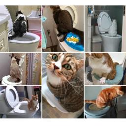 Caixa De Limpeza De Plástico Para Treinamento De Animais De Estimação, Kit De Gato, Treinador De Lixo, Bandeja De Banheiro - Image 1