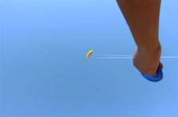 Frete grátis 250cm dual line stunt power kites flying toys for kids kite surf beach kites professional wind kites factory sport - Image 3