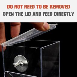 Alimentador automático transparente de sementes de pássaro alimentador automático pendurado caixa alimentos e calha papagaio alimentador gaiola acessórios suprimentos pássaro - Image 1