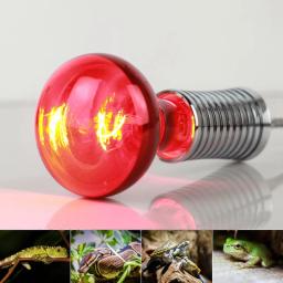 Lâmpada de calor infravermelho, luz vermelha, lâmpadas de calor para Pet, lagartos, dragões barbudos, camaleões, cobras, répteis, anfíbios, 100W, 2 Pack - Image 6