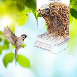 Alimentador Automático De Gaiola De Pássaro Com Perch Recipiente De Alimento Transparente Acessórios Para Pássaros Papagaio Alimentadores De Sementes, Acrílico - Image 2