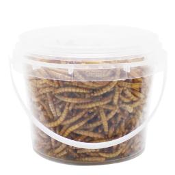 Mealworms High-Protein para Pássaros Selvagens, Frango, Patos, Peixe, Réptil, Tartaruga, Anfíbio, Lagarto, 250g - Image 1