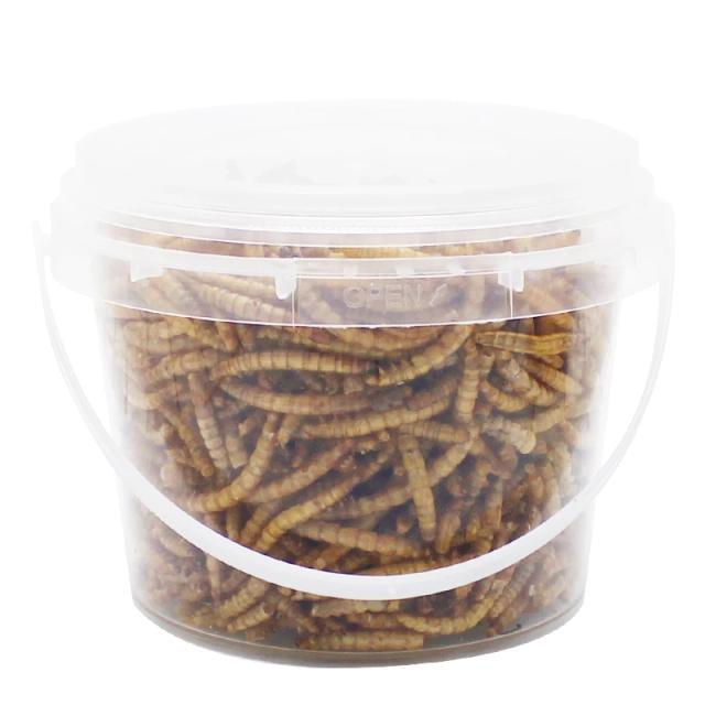 Alimento Rico em Proteínas: Mealworms para Pássaros Selvagens, Frangos, Patos, Peixes, Répteis e Anfíbios - 250g