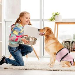 Fraldas para cães reutilizáveis, fraldas laváveis para cães fêmeas, tamanho ajustável, tamanho S, M, tamanho L, 3 pacotes - Image 5
