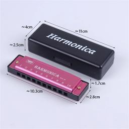 Miwayer-Harmonica Bocal quebra-cabeça, instrumento musical, educação iniciante, jogar presente, núcleo de cobre, resina, 10 buracos - Image 6