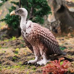 Figuras de animais selvagens, pássaro, corvo, arara, mar, tubarão, pelicano, pavão, coruja, tucano, abs, brinquedo em miniatura para crianças - Image 3