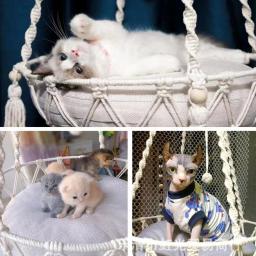 Mão Tecido De Algodão Corda De Rede Para Animais De Estimação, Cesta De Suspensão, Gato Swing, Kitten String Den, Indoor Pend Nest, Pet Supplies, Novo - Image 5