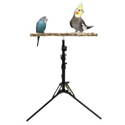 Pássaro poleiro stand com altura ajustável, Natural Wood Parrot Toy, Indoor e Outdoor Pássaro Stands, Pássaros pequenos e médios - Image 3