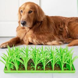 Tapete de capim de silicone para gatos, Tapete antiderrapante para forrageamento de gatos, Grande reprodução de raças médias e pequenas - Image 2