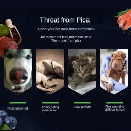 Pet Cálcio Comprimidos para Cães e Gatos, Big Bone Condroitina, Cabelo Condicionado e Gastroenters' Suplemento Nutricional - Image 4