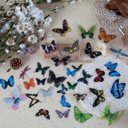 Transparente borboleta adesivos, asas decorativas, resina epóxi enchimento, artesanato DIY, livro, decoração de casa, 40pcs por saco - Image 3