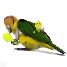 Brinquedos de treinamento interativo para papagaio, papagaio e morder, sabedoria, jogando, pássaro, som, acessórios para animais - Image 3