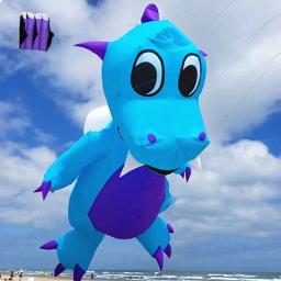 Flying Dragon Kite para crianças, Professional Wind Kite, Steigen Kite para adultos, Automatic Kite Machine, Frete Grátis, 5m - Image 4