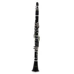 Profissional 17 teclas bb clarinete instrumento de sopro acessórios caixa reed cinta suporte escovas limpeza trimmer reed braçadeira limpar - Image 4