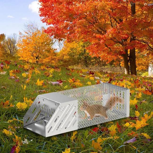 Armadilhas Versáteis para Ratos, Esquilos e Pequenos Animais - Soluções Eficazes para Uso em Casa e ao Ar Livre