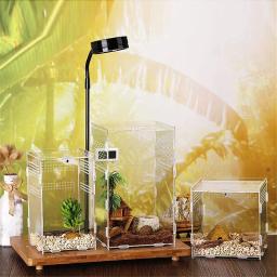 Caixa de reprodução de répteis acrílicos, terrário transparente, inseto, aranha, lagarto, escorpião, gaiola de alimentação, arbóreo - Image 5