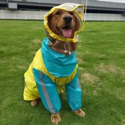 Impermeável Tudo Incluído Impermeável para Animais de Estimação, Roupa Reflexiva para Cães, Impermeável para Schnauzer, Trajes Golden Retriever, Quatro Estações, Exterior - Image 5