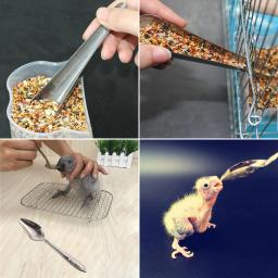 Ferramenta De Alimentação De Pássaro De Aço Inoxidável, Colher De Comida, Alimentador De Pássaro Pet, Gaiola De Papagaio, Suprimentos De Pássaro - Image 3