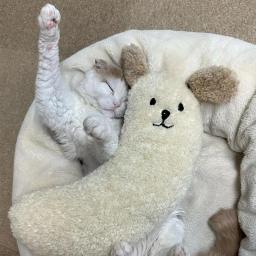 Almofada em forma de U para animais de estimação, proteger a coluna cervical, sono profundo, travesseiro estabilizador para filhotes, fofo, cães - Image 3
