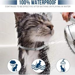 Coleira antiparasitária para cães e gatos, carrapatos antipulgas, proteção de animais, retrátil, confortável, coleira separatista, gatinhos, cão grande, 38 cm, 70cm - Image 2