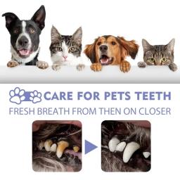 Spray de limpeza dental para animais, remove manchas e mau hálito, higiene bucal, desodorante para animais, cães e gatos, fresco, 30ml - Image 4