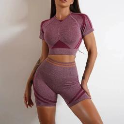 Conjuntos de yoga sem costura esportes fitness cintura alta hip levantar calças de manga comprida sem costas terno roupas de treino ginásio shorts conjunto para mulher - Image 4