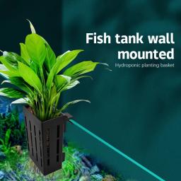 Parede montada planta aquática crescente cesta, suporte do tanque de peixes, aquário hidropônico Planta Copos, 1pc - Image 1