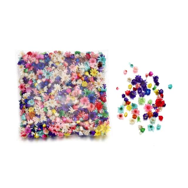 100-200 pces flor seca real da resina de cola epoxy moldes enchimentos de silicone pequena estrela enchimento de flor para diy artesanato de jóias que faz fontes