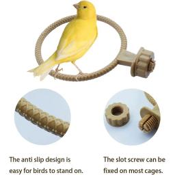 Plastic Bird Bath Stand para Budgies, Banheira Parrot, Pet Shower, Caixa de banho Parrot, Poleiro Acessórios - Image 3