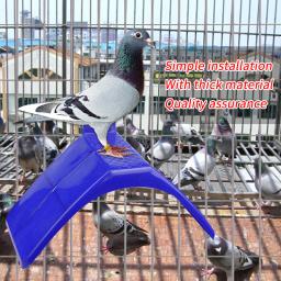 Pombo V Poleiros Quadro, Pomba Resto Stand, Pássaro Azul Playstand, Aves de habitação Suprimentos, 20pcs - Image 2