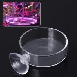 Prato de alimentação de camarão mini tamanho Tanque de peixes do aquário Alimentador de répteis Tigela com ventosa Material acrílico - Image 1