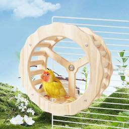 Roda de exercício para papagaio, roda giratória interativa, pássaros de madeira, brinquedos, gaiola, acessórios para conures, periquitos, papagaios, calopsitas - Image 6