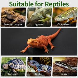 Réptil Terrarium substrato forro, réptil Mat para leopardo, lagartixa, lagarto, cobra, tartaruga - Image 6