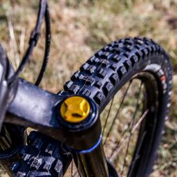 Maxxis assegai downhill sem câmara de ar mtb pneu de bicicleta 29 27.5 jantes mountain bike pneus de 29 polegadas para dh dd trail enduro corrida 29x 27.5x - Image 3