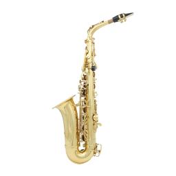 Saxofone Alto SLADE-Eb com White Shells Chaves, Brass Body, Sax Set Case, Saxofone Professional Acessório, instrumentos de sopro - Image 3