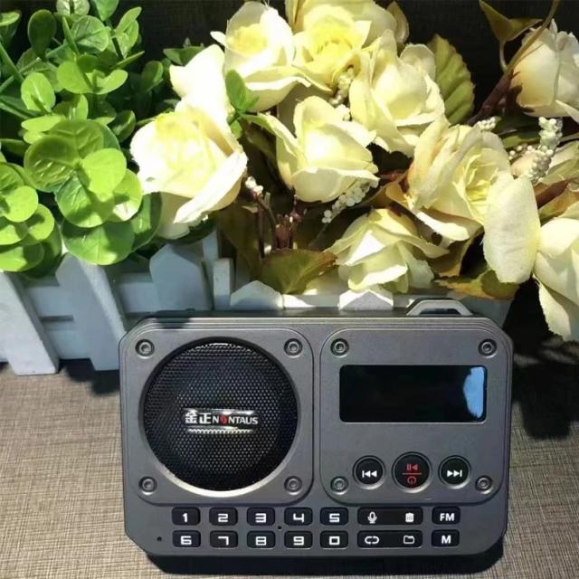 Mini Rádio FM Portátil Multifuncional Bluetooth 5W com Display LED e Gravação