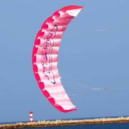 Double Line Kites Parachute para adultos e crianças, Power Braid Sailing Kitesurf, alta qualidade, profissional, grande 1.4m com 2 alças - Image 2