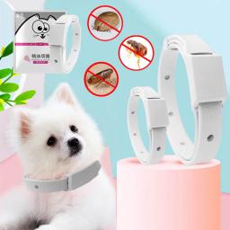 Coleira antiparasitária ajustável para proteção de animais de estimação, coleira clássica para gato e cachorro, coleira para Breakaway, antipulgas, produtos para animais - Image 1