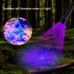 Lanterna UV portátil LED, Luz Negra, Tocha Ultravioleta, Detector Blacklight para Urina Dog, Pet, Mancha e Bed Bug, 395 nm, 12 21 51 - Image 3