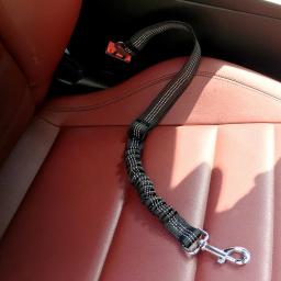 Cinto de segurança para cães, Arnês para cães, Ajustável, Durável, Nylon, Refletivo, Tecido Bungee, Tether, Suprimentos de viagem de carro - Image 5