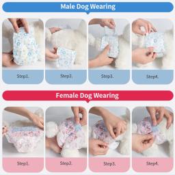 Fraldas descartáveis para fêmeas, roupa interior fisiológica, ajustável à prova de vazamento, calças de segurança respirável, fraldas para cães, 10PCs - Image 2