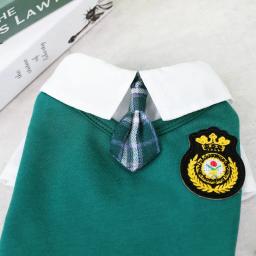 Roupas para cães, vestido para cães, camiseta, saia para cachorro, roupas para gatinhos, poodle, fantasias de chihuahua, roupas para animais - Image 4