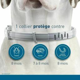 Cão anti pulgas e carrapatos gatos collar pet 8 meses de proteção retrátil pet coleiras para cachorro gato cães de grande porte acessórios - Image 3