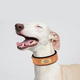 Colar de cachorro gravado personalizado, couro largo, coleiras acolchoadas macias grandes, gravação livre, cães médios e grandes - Image 5