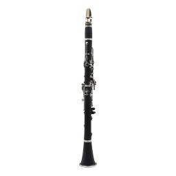 Profissional 17 teclas bb clarinete instrumento de sopro acessórios caixa reed cinta suporte escovas limpeza trimmer reed braçadeira limpar - Image 3