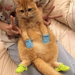 Sapatos espessados para animais de estimação, resistente ao desgaste, respirável, antiderrapante, chinelos para cães, suprimentos para animais, nova moda - Image 3