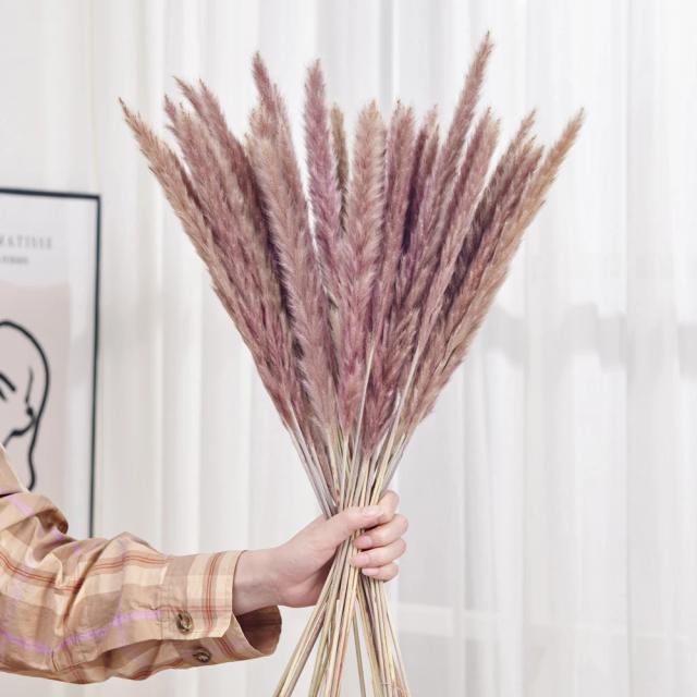 Flores Secas Naturais e Artificiais: 30 Peças de Grama Pampas e Cauda de Coelho para Casamento e Decoração de Casa