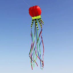 Jellyfish Flying Nylon Line para adultos, pipas voadoras gigantes, equipamentos de windsurf, frete grátis, 8m - Image 3